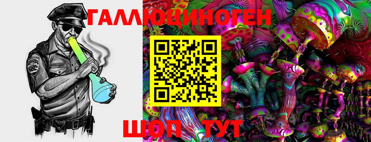 Кизилюрт  Галлюциногенные грибы Psilocybine cubensis  Псилоцибиновые грибы GOLDEN TEACHER  Вход с VPN 