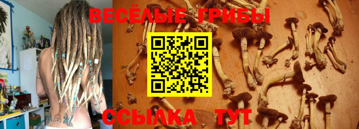 Метамфетамин Кизилюрт
